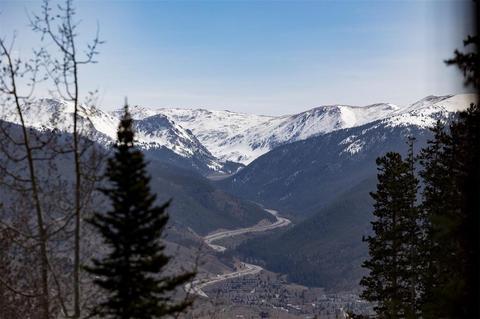 101 Bashore Ct, Silverthorne, CO 80498 photo 14