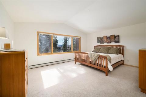 101 Bashore Ct, Silverthorne, CO 80498 photo 20