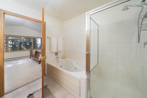 101 Bashore Ct, Silverthorne, CO 80498 photo 22