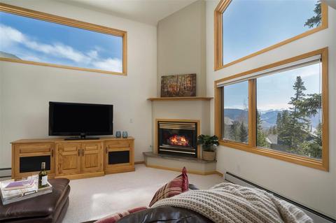101 Bashore Ct, Silverthorne, CO 80498 photo 8