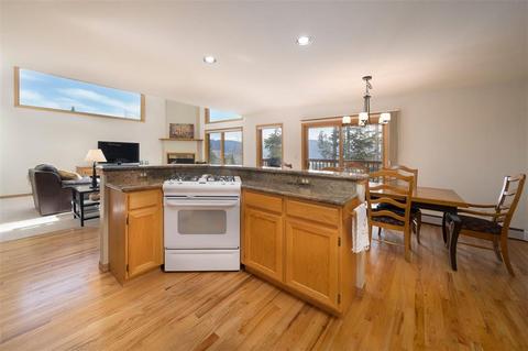 101 Bashore Ct, Silverthorne, CO 80498 photo 12