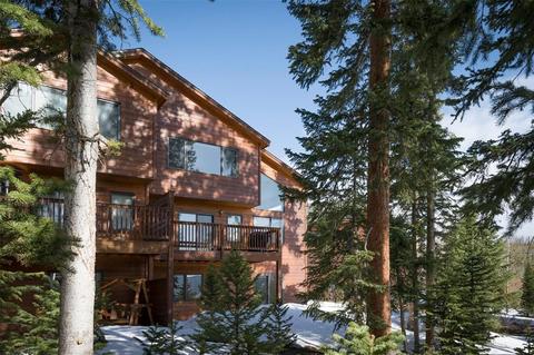 101 Bashore Ct, Silverthorne, CO 80498 photo 1