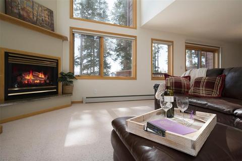 101 Bashore Ct, Silverthorne, CO 80498 photo 13