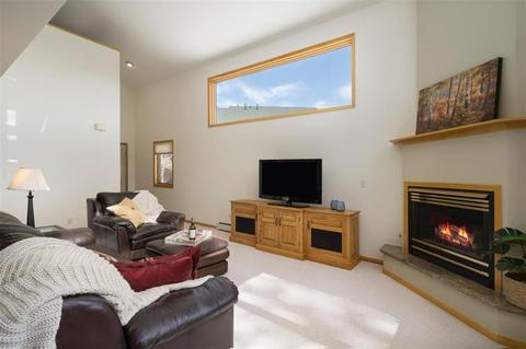 101 Bashore Ct, Silverthorne, CO 80498 photo 9