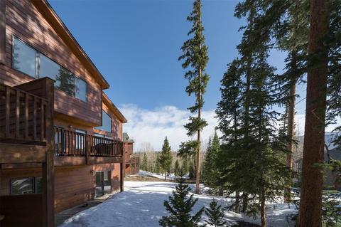 101 Bashore Ct, Silverthorne, CO 80498 photo 4