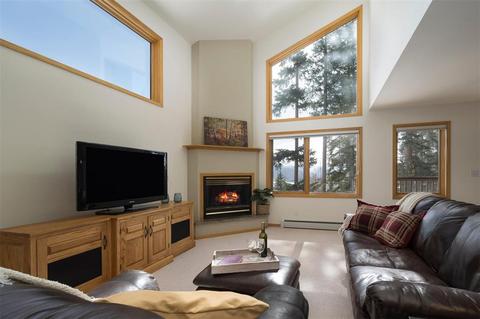 101 Bashore Ct, Silverthorne, CO 80498 photo 5