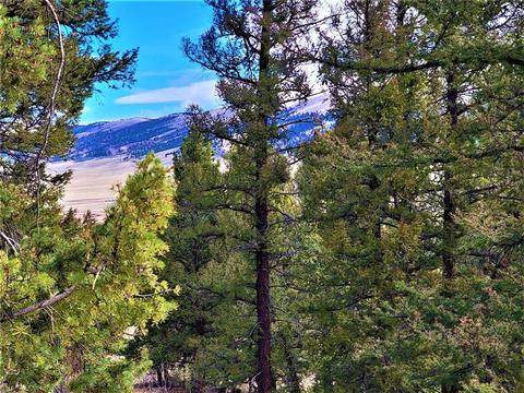 4374 Middle Fork Vis, Fairplay, CO 80440