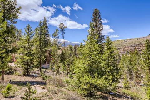 141 Piney Acres Cir, Dillon, CO 80435 photo 27