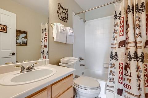 152 Robin Dr #152, Silverthorne, CO 80498 photo 25