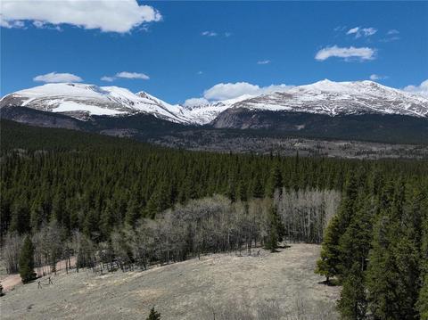 422 Rollies, Alma, CO 80420