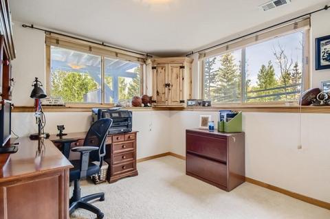 16 Montane Ct, Dillon, CO 80435 photo 19