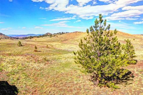 tbd Black Beaver, Hartsel, CO 80449