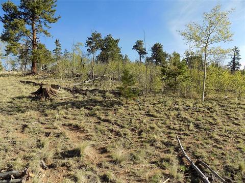 187 Osprey Rd, Como, CO 80432 photo 16