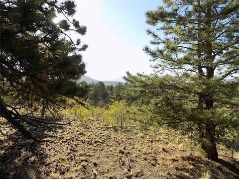 187 Osprey Rd, Como, CO 80432 photo 5