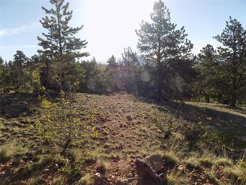 187 Osprey Rd, Como, CO 80432 photo 18