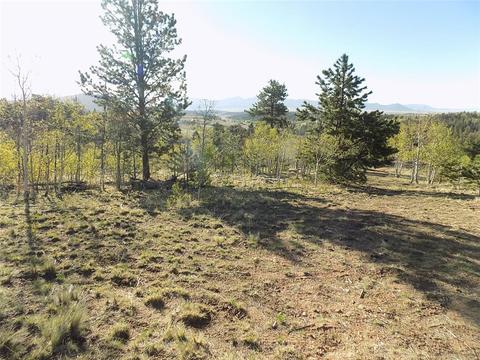 187 Osprey Rd, Como, CO 80432 photo 15