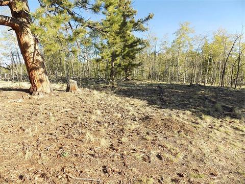 187 Osprey Rd, Como, CO 80432 photo 6