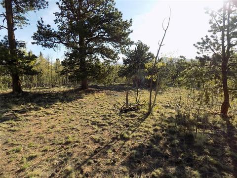 187 Osprey Rd, Como, CO 80432 photo 10