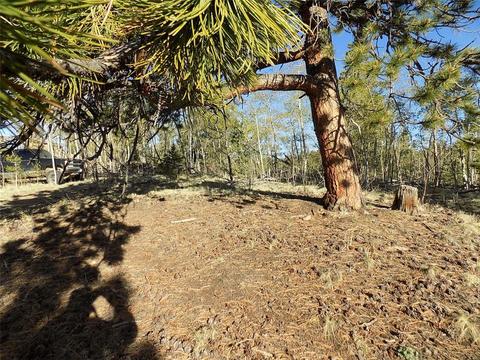 187 Osprey Rd, Como, CO 80432 photo 7