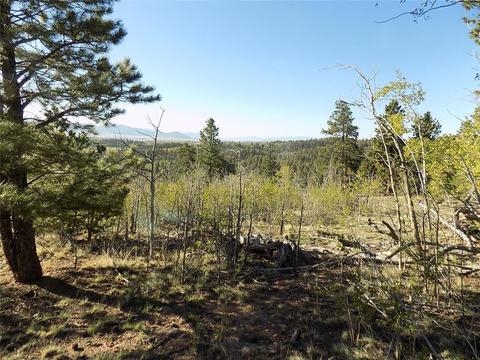 187 Osprey Rd, Como, CO 80432 photo 12