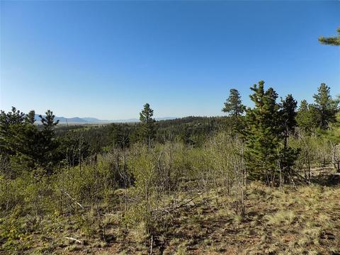 187 Osprey Rd, Como, CO 80432 photo 8