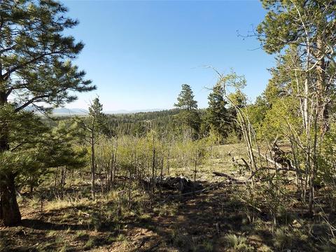 187 Osprey Rd, Como, CO 80432 photo 2