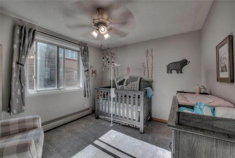 2010 Silverheels Dr, Silverthorne, CO 80498 photo 12