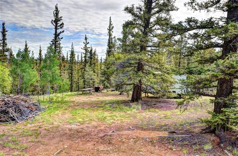 503 Ute Trl, Como, CO 80456 photo 10