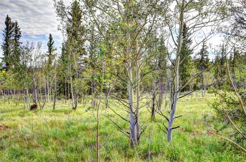 503 Ute Trl, Como, CO 80456 photo 7