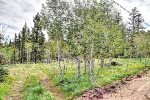 503 Ute Trl, Como, CO 80456 photo 2