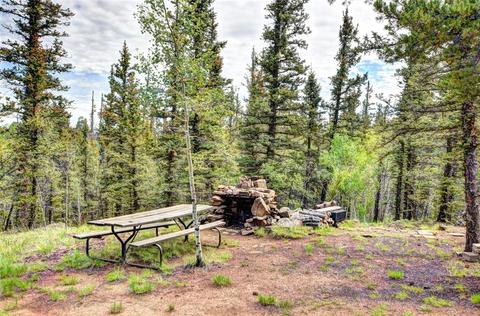 503 Ute Trl, Como, CO 80456 photo 11