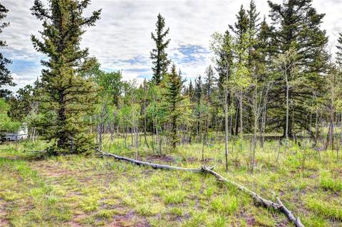 503 Ute Trl, Como, CO 80456 photo 9