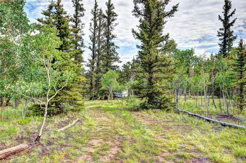 503 Ute Trl, Como, CO 80456 photo 8