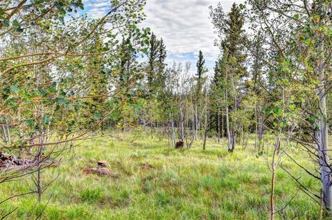 503 Ute Trl, Como, CO 80456 photo 6