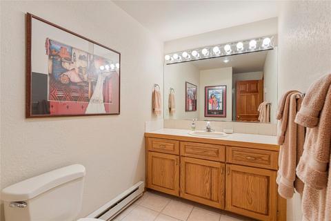 294 Ensign Dr, Dillon, CO 80435 photo 33