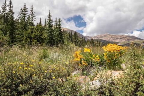 152 Cliffs Way, Alma, CO 80420 photo 13