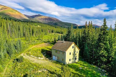 152 Cliffs Way, Alma, CO 80420 photo 5