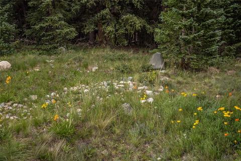 152 Cliffs Way, Alma, CO 80420 photo 15