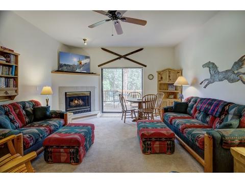 511 Park Forest Dr, Breckenridge, CO 80424 photo 20
