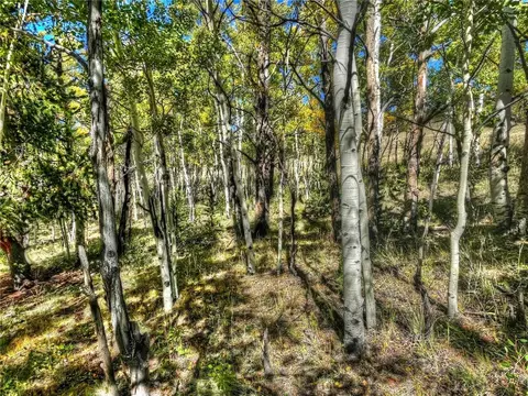 00 Oglala Trl, Hartsel, CO 80449 photo 6