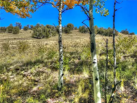 00 Oglala Trl, Hartsel, CO 80449 photo 13