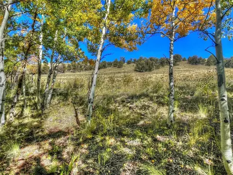 00 Oglala Trl, Hartsel, CO 80449 photo 11