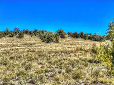 00 Oglala Trl, Hartsel, CO 80449 photo 17