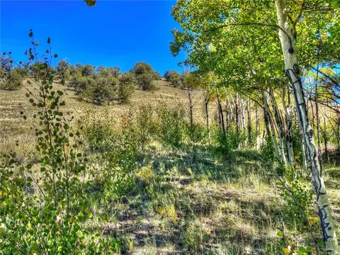 00 Oglala Trl, Hartsel, CO 80449 photo 16