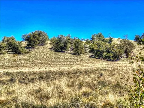 00 Oglala Trl, Hartsel, CO 80449 photo 10