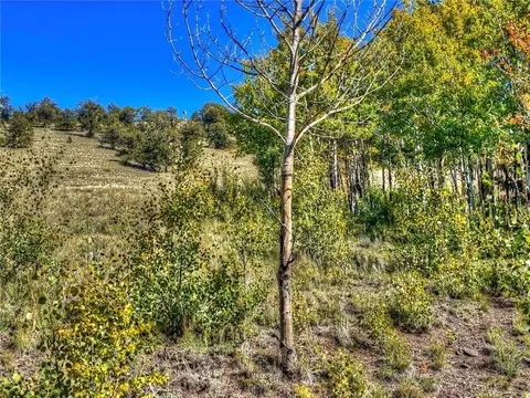 00 Oglala Trl, Hartsel, CO 80449 photo 3