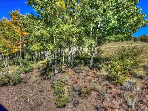 00 Oglala Trl, Hartsel, CO 80449 photo 7