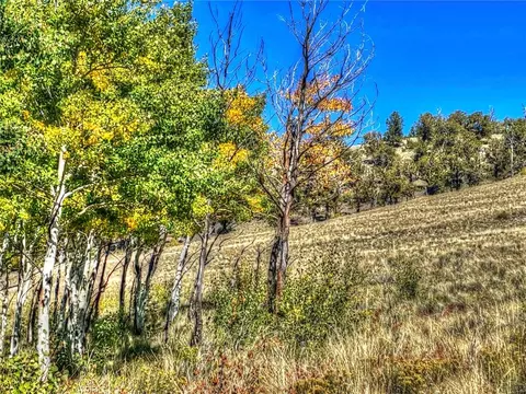 00 Oglala Trl, Hartsel, CO 80449 photo 5