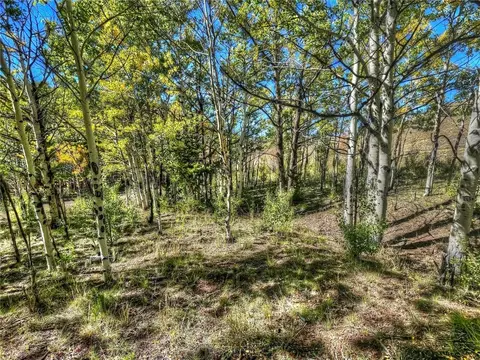00 Oglala Trl, Hartsel, CO 80449 photo 14