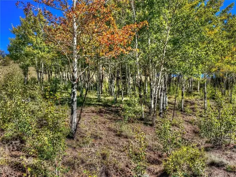 00 Oglala Trl, Hartsel, CO 80449 photo 4